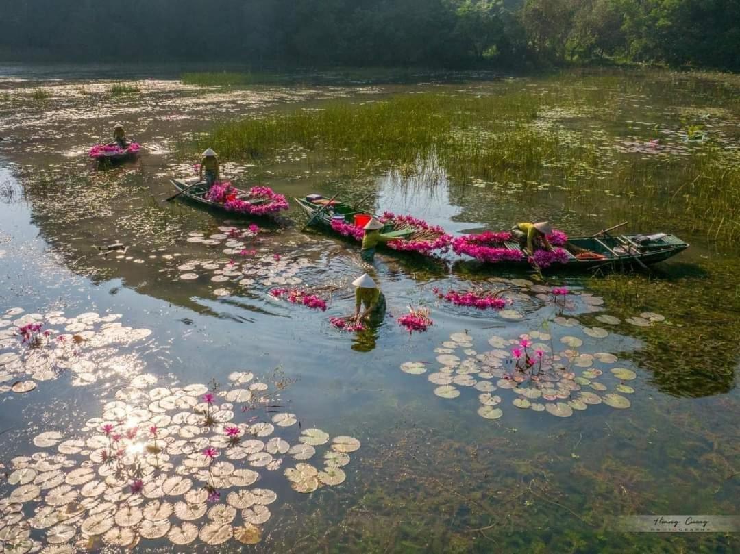 Tam Coc Paradise Homestay Ніньбінь Екстер'єр фото